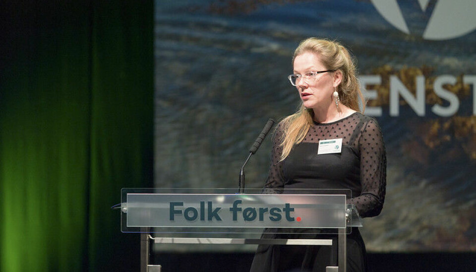 Lærer Anja Johansen i Nordland Venstre er ny statssekretær i Kunnskapsdepartementet. .