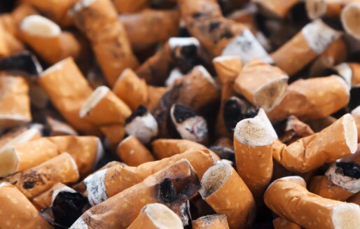 57.000 elever har undersøkt: Sigarettsneiper er den største kilden til plastforurensning