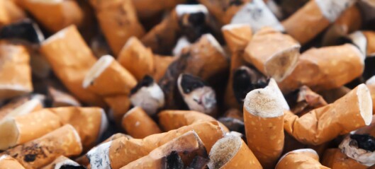 57.000 elever har undersøkt: Sigarettsneiper er den største kilden til plastforurensning