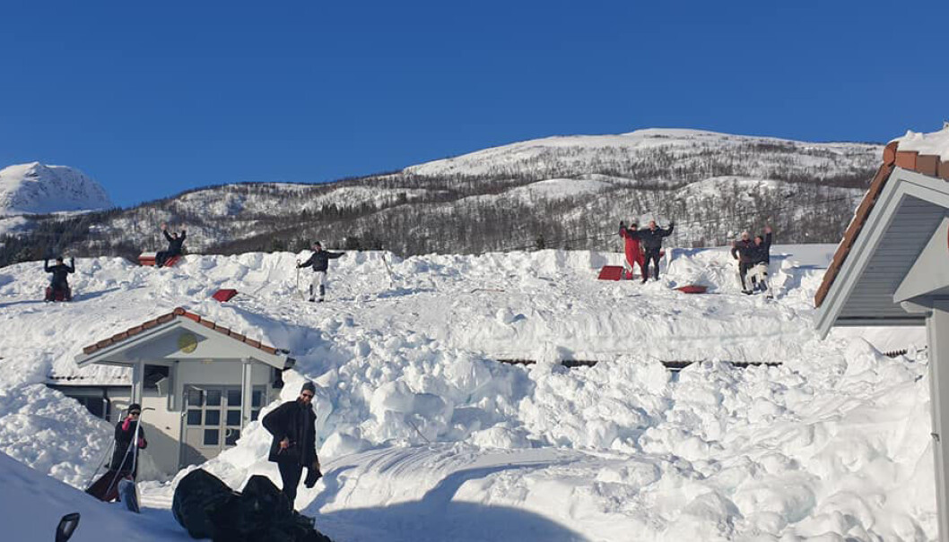 Snødugnad i Harstad. Snødugnad i Harstad.