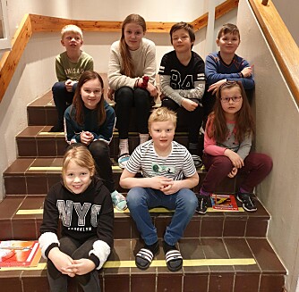 Elevrådet ved Flå skole. Elevrådet ved Flå skole.