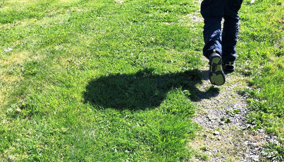 Pekelek hjelper ikke skolevegrerne