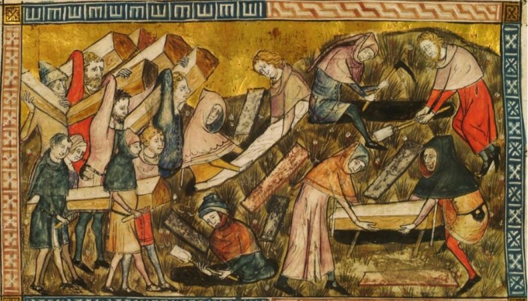 Innbyggerne i den belgiske byen Tournai begraver ofrene etter svartedauden. Innbyggerne i den belgiske byen Tournai begraver ofrene etter svartedauden.