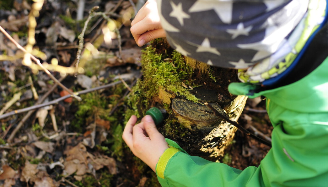 En av barnehageguttene kom løpende fra skogen, fra seg av opphisselse. I hånda holdt han ei sølvskje og en øredobb med fin stein i. Han hadde funnet SKATTEN En av barnehageguttene kom løpende fra skogen, fra seg av opphisselse. I hånda holdt han ei sølvskje og en øredobb med fin stein i. Han hadde funnet SKATTEN