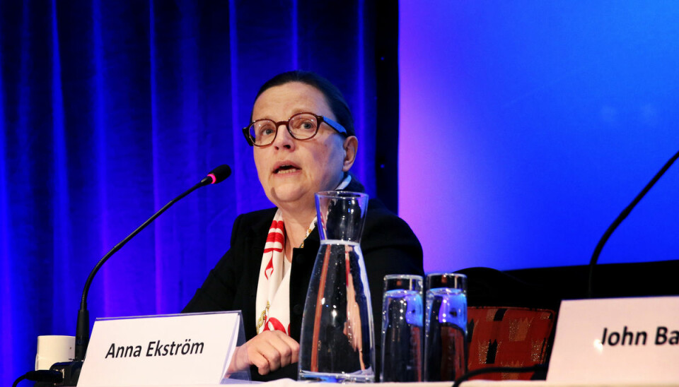 Anne Ekström, Sveriges Utdanningsminister