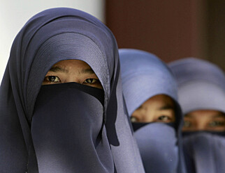 Tysk delstat forbyr burka og niqab i skoler