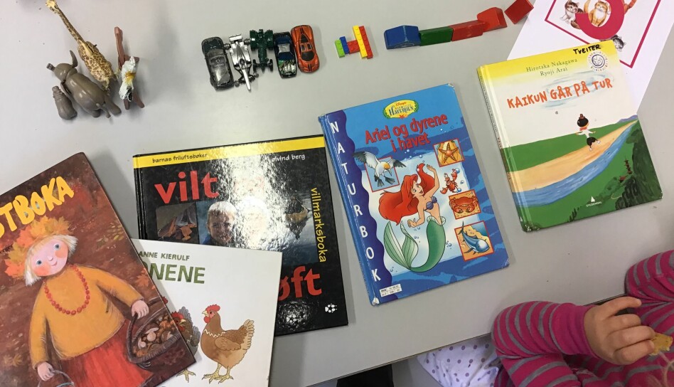 Barna teller bøker, bilder og dyr, der alt blir fem. Prosjektet Lekematikklandet har ført til at barna har blitt merkbart flinkere til å beskrive, forklare og resonnere, og de forstår at det ofte finnes mer enn én løsning på en oppgave.