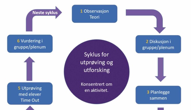 Figur 1: MAM læringssyklus. Figur 1: MAM læringssyklus.
