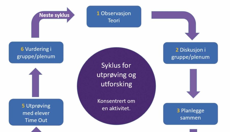 Figur 1: MAM læringssyklus. Figur 1: MAM læringssyklus.