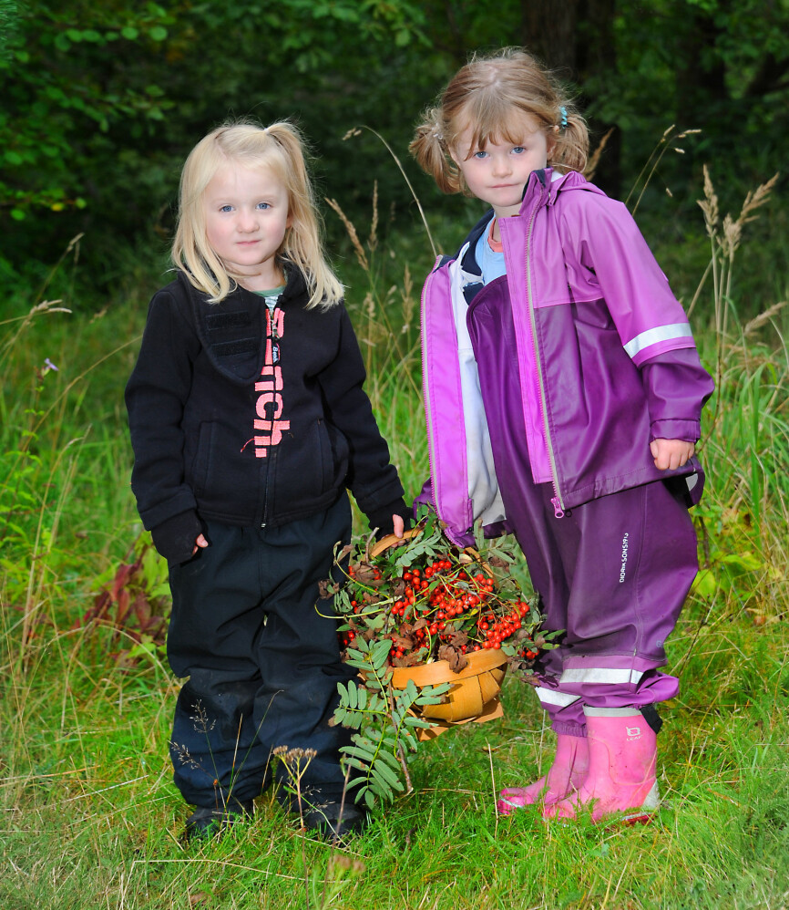 Lykke Erika Greenwood (t.v.) og Anniken Aarskog Mortensen i Lekeslottet barnehage bærer kurven med alle rognebærene barna har plukket til naturkunsten de skal lage.