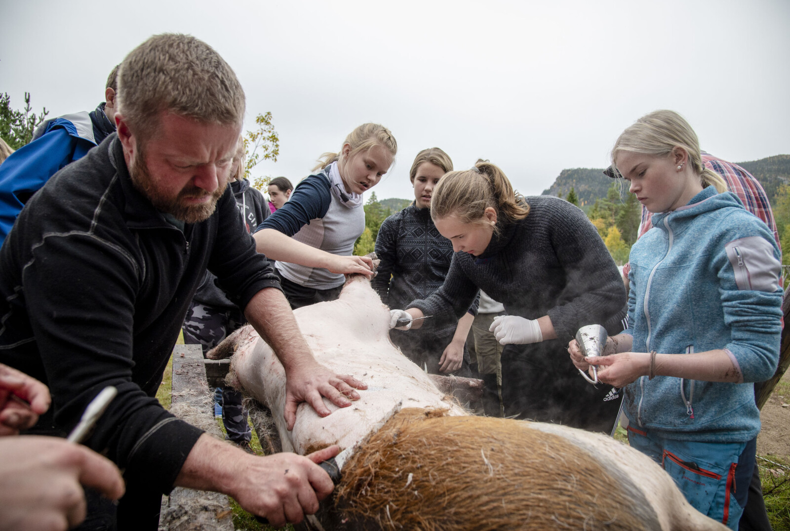 Lærer Audun Strand har hatt de tre grisene på småbruket sitt gjennom hele sommeren.
Nå demonstrerer han skålding så busta fyker. Astrid Braastad, Amalie Hirkjølen Velten, Selma Henriksen og Madelén Birkebekk følger opp. Lærer Audun Strand har hatt de tre grisene på småbruket sitt gjennom hele sommeren.
Nå demonstrerer han skålding så busta fyker. Astrid Braastad, Amalie Hirkjølen Velten, Selma Henriksen og Madelén Birkebekk følger opp.