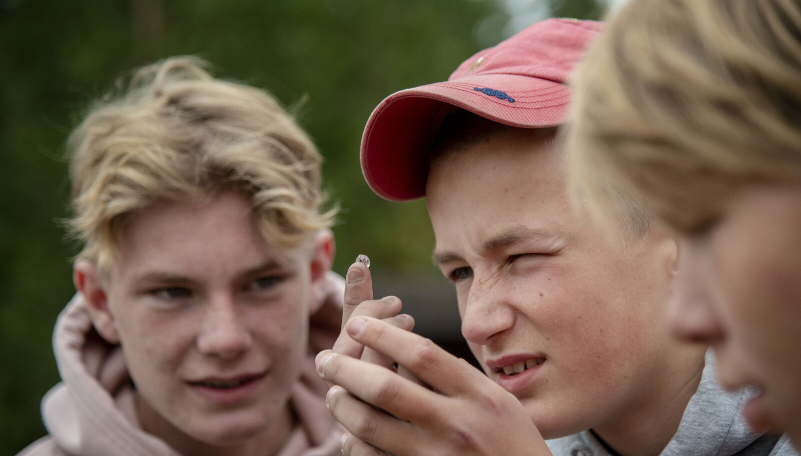 Verden blir snudd på hodet når man ser den gjennom linsa fra griseøyet. Verden blir snudd på hodet når man ser den gjennom linsa fra griseøyet.