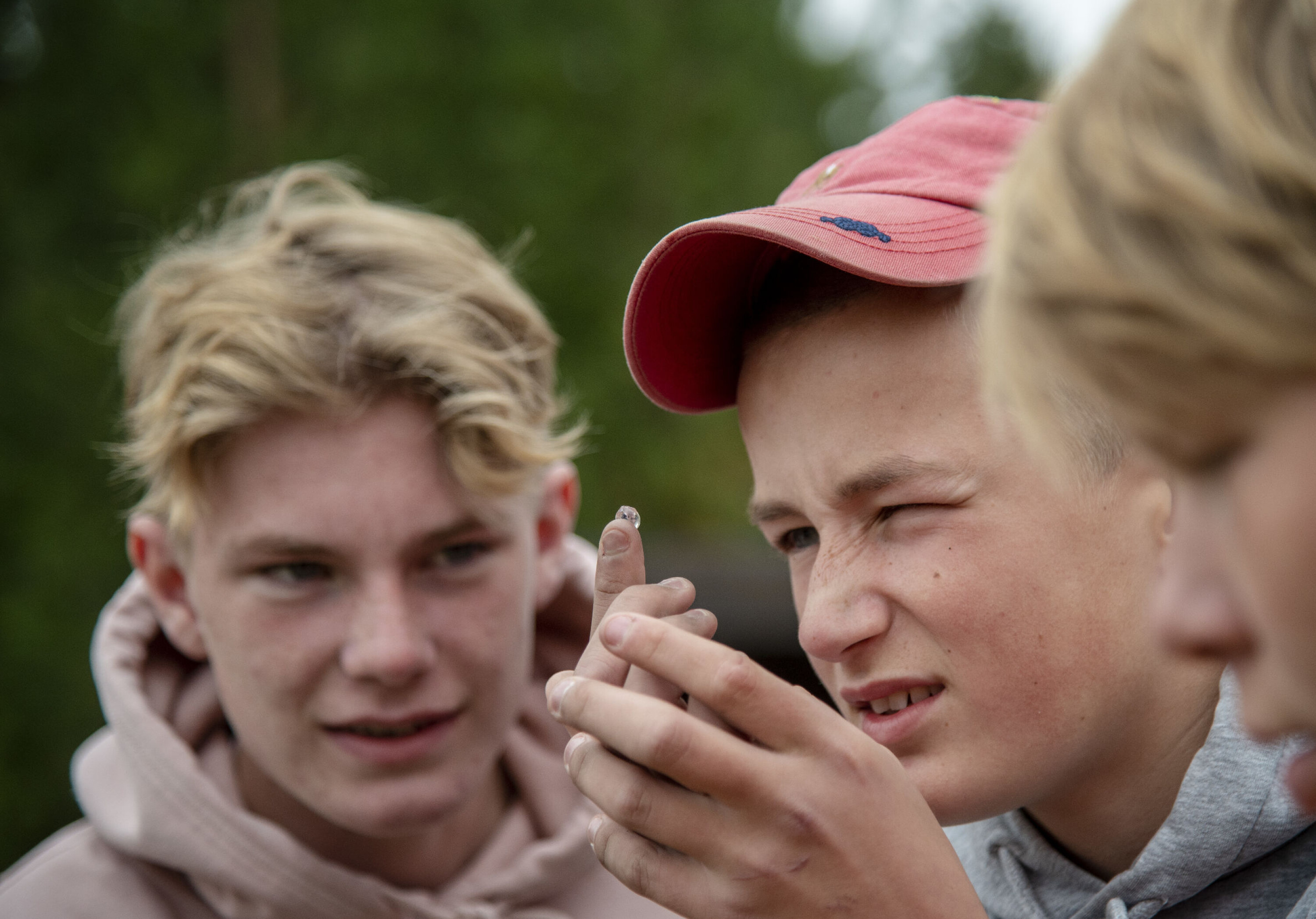 Verden blir snudd på hodet når man ser den gjennom linsa fra griseøyet.