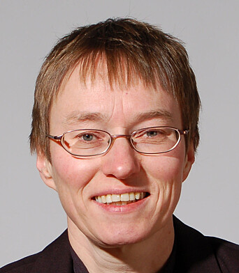 Kristine Nergaard, forsker ved forskningsstiftelsen Fafo. Kristine Nergaard, forsker ved forskningsstiftelsen Fafo.