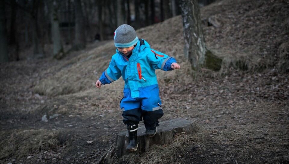 Skogbotn ga barnehagebarn betre immunforsvar