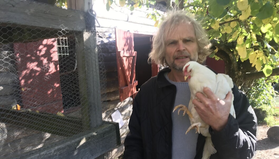 - Godt lederskap fungerer, sier Arnfinn Henning (57), her med høna Lina. - Godt lederskap fungerer, sier Arnfinn Henning (57), her med høna Lina.