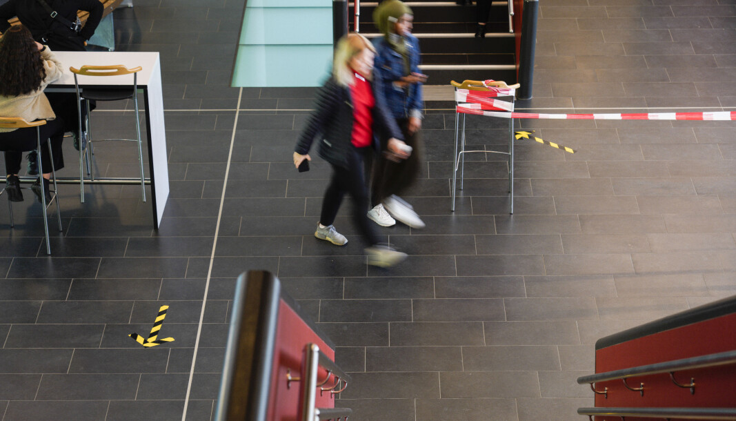 Skoleelever sto for nesten hvert fjerde i smittetilfelle i Oslo. Skoleelever sto for nesten hvert fjerde i smittetilfelle i Oslo.