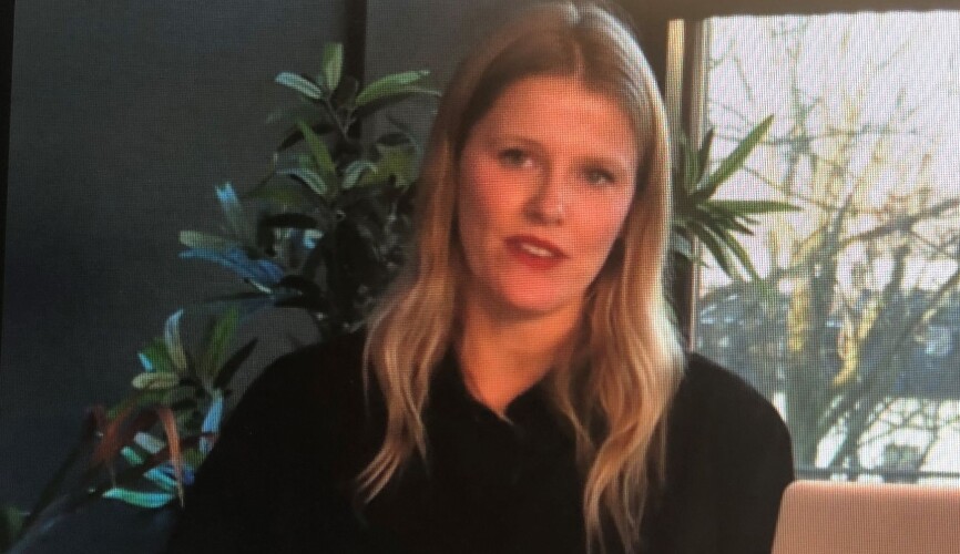 –Det er sjelden noen sier de er gode lekere. Det skulle jeg ønske var annerledes, sier barnehagelærer og redaktør i Barnehagefolk Birgitte Fjørtoft, som deltok på den digitale barnehagekonferansen Nordiske impulser 2020.