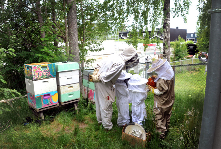 Assistent Lill Stormoen (t.h.) sier barnehagens miljøarbeid fører til at barna lærer hvor honningen kommer fra. Her studerer hun biene sammen med birøkter Mikkel Dagestad.