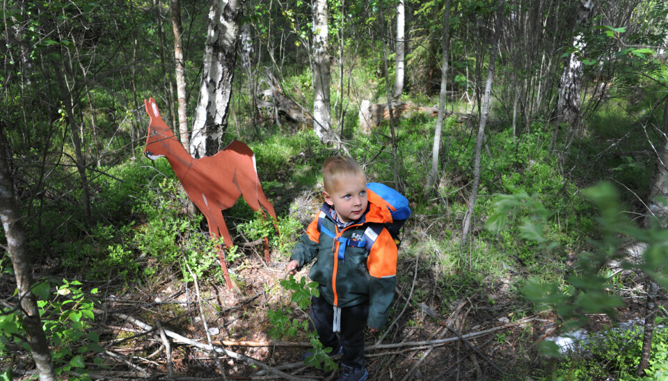 De voksne i barnehagen har plassert dyr som er laget av finérplater i skogen. Odin Borgaas (3) og barna stopper gjerne og synger en sang for rådyret.