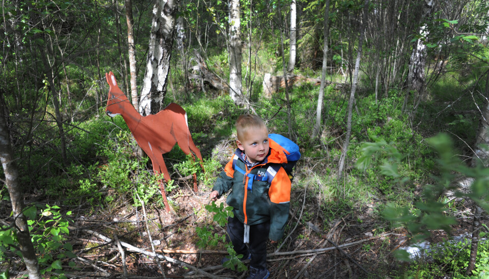 De voksne i barnehagen har plassert dyr som er laget av finérplater i skogen. Odin Borgaas (3) og barna stopper gjerne og synger en sang for rådyret. De voksne i barnehagen har plassert dyr som er laget av finérplater i skogen. Odin Borgaas (3) og barna stopper gjerne og synger en sang for rådyret.