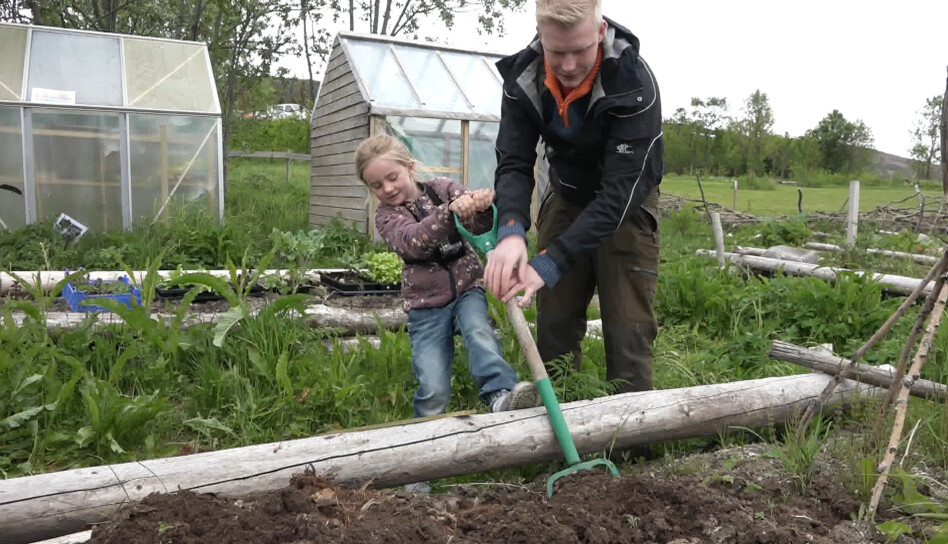 Bilde 3: Barna lærer å bruke potetgrev, greip og jernrive og får hjelp av de ansatte.