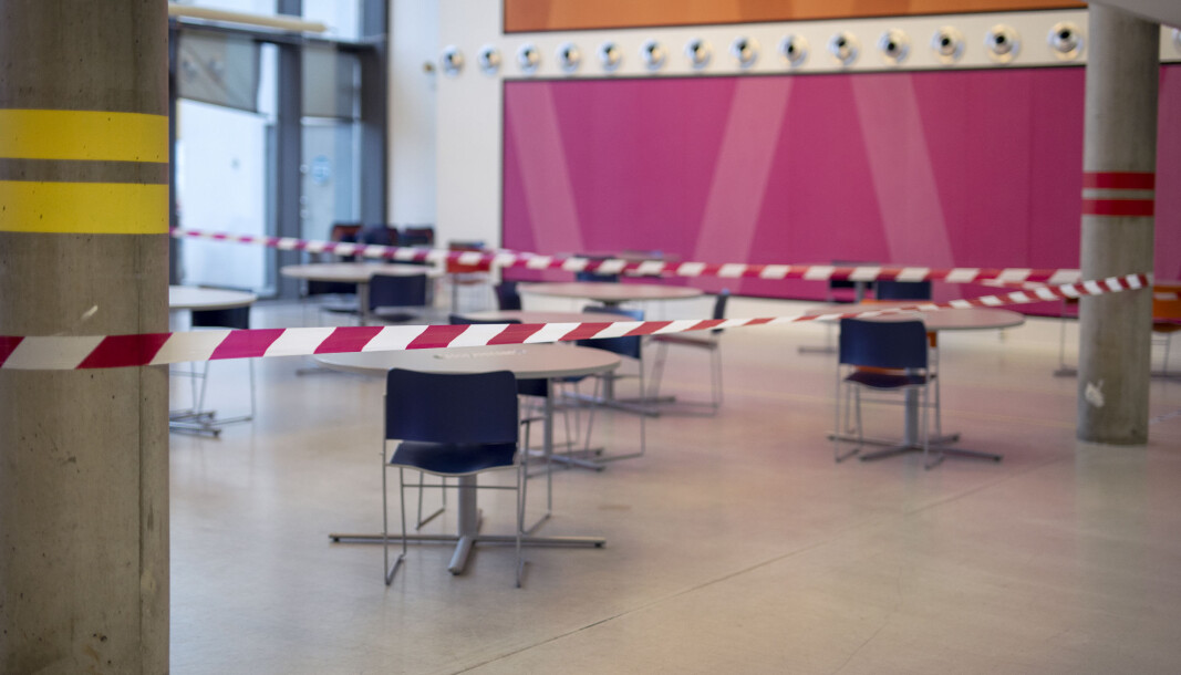 Skoler og universiteter må være forberedt på rødt nivå også etter 19. januar. Skoler og universiteter må være forberedt på rødt nivå også etter 19. januar.