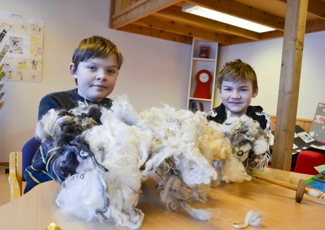 I meir enn eitt år arbeidde elevane på 5. til 7. årstrinn med ull som berekraftig materiale. Vemund Bergo og Elias Bergo viser fram ull frå ulike sauerasar.