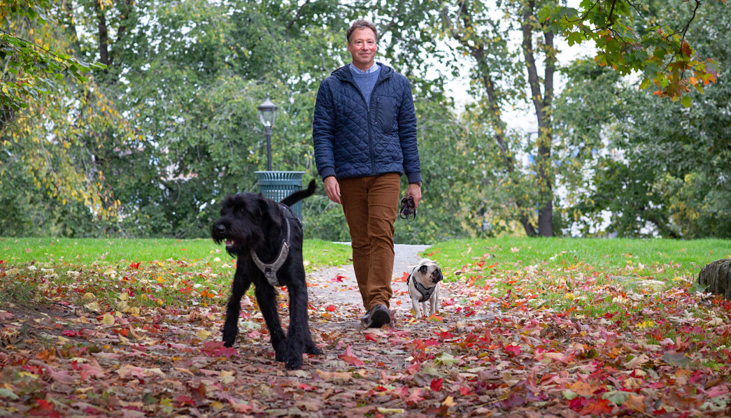 – Skal jeg ha ledersamling, kan det være bedre for meg å tenke på hva jeg skal si mens jeg går tur med hundene, i stedet for å sitte på kontoret og skrive, forteller daglig leder Robert Ullmann i barnehagestiftelsen Kanvas. – Skal jeg ha ledersamling, kan det være bedre for meg å tenke på hva jeg skal si mens jeg går tur med hundene, i stedet for å sitte på kontoret og skrive, forteller daglig leder Robert Ullmann i barnehagestiftelsen Kanvas.