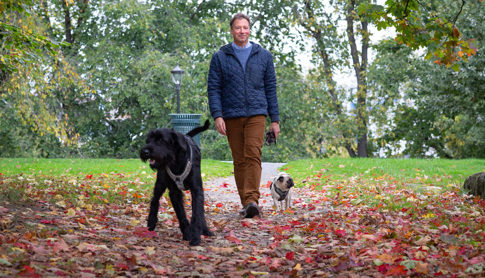 – Skal jeg ha ledersamling, kan det være bedre for meg å tenke på hva jeg skal si mens jeg går tur med hundene, i stedet for å sitte på kontoret og skrive, forteller daglig leder Robert Ullmann i barnehagestiftelsen Kanvas.