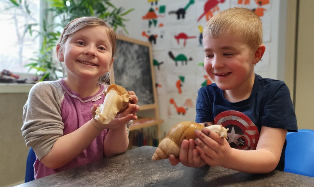 Emilia (5 1/2 år) og Matheo (6 år) viser frem to av de fire afrikanske kjempesneglene som bor på avdelingen. Emilia (5 1/2 år) og Matheo (6 år) viser frem to av de fire afrikanske kjempesneglene som bor på avdelingen.