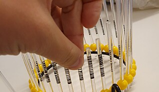 Studenten brukte gamle cocktailpinner for å lage en krone til fugleskremselet. Studenten brukte gamle cocktailpinner for å lage en krone til fugleskremselet.