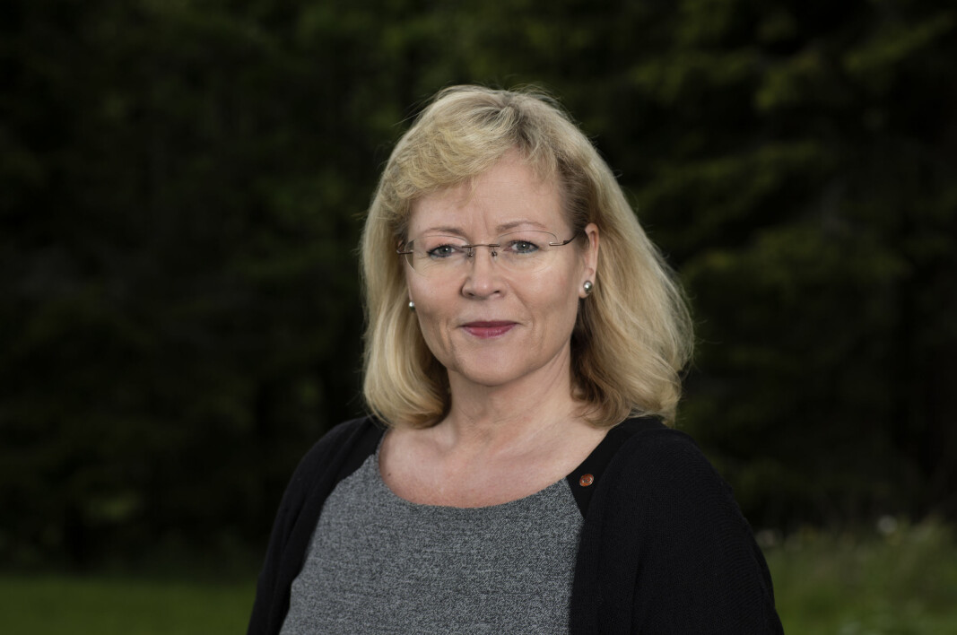 I et mer bærekraftig samfunn bør vi lære oss å vedlikeholde og reparere tingene våre i større grad enn vi gjør i dag, sier Trude Tinnlund. I et mer bærekraftig samfunn bør vi lære oss å vedlikeholde og reparere tingene våre i større grad enn vi gjør i dag, sier Trude Tinnlund.
