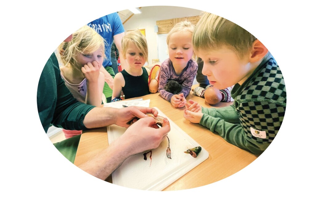 Etter fisketuren er (fra v.) Agnes, Oda, Tilje-Emilie og Marelius med når fiskene sløyes, noe som gir rom for undring og læring. Etter fisketuren er (fra v.) Agnes, Oda, Tilje-Emilie og Marelius med når fiskene sløyes, noe som gir rom for undring og læring.