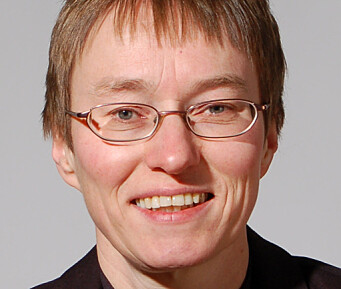Kristine Nergaard, forsker ved forskningsstiftelsen Fafo. Kristine Nergaard, forsker ved forskningsstiftelsen Fafo.