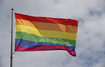 Trondheim kjøper regnbueflagg for en halv million til skoler og barnehager