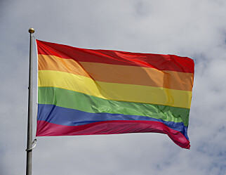 Prideflagg forsøkt påtent på Oslo-skole