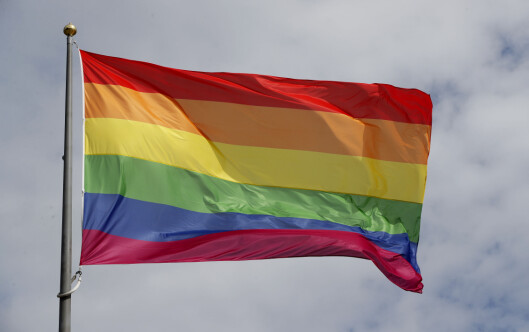 Trondheim kjøper regnbueflagg for en halv million til skoler og barnehager