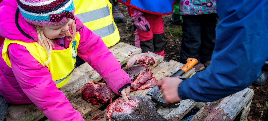 Emma Rose ser reinen bli slaktet i den samiske barnehagen. Ønsket er å styrke den samiske kulturen