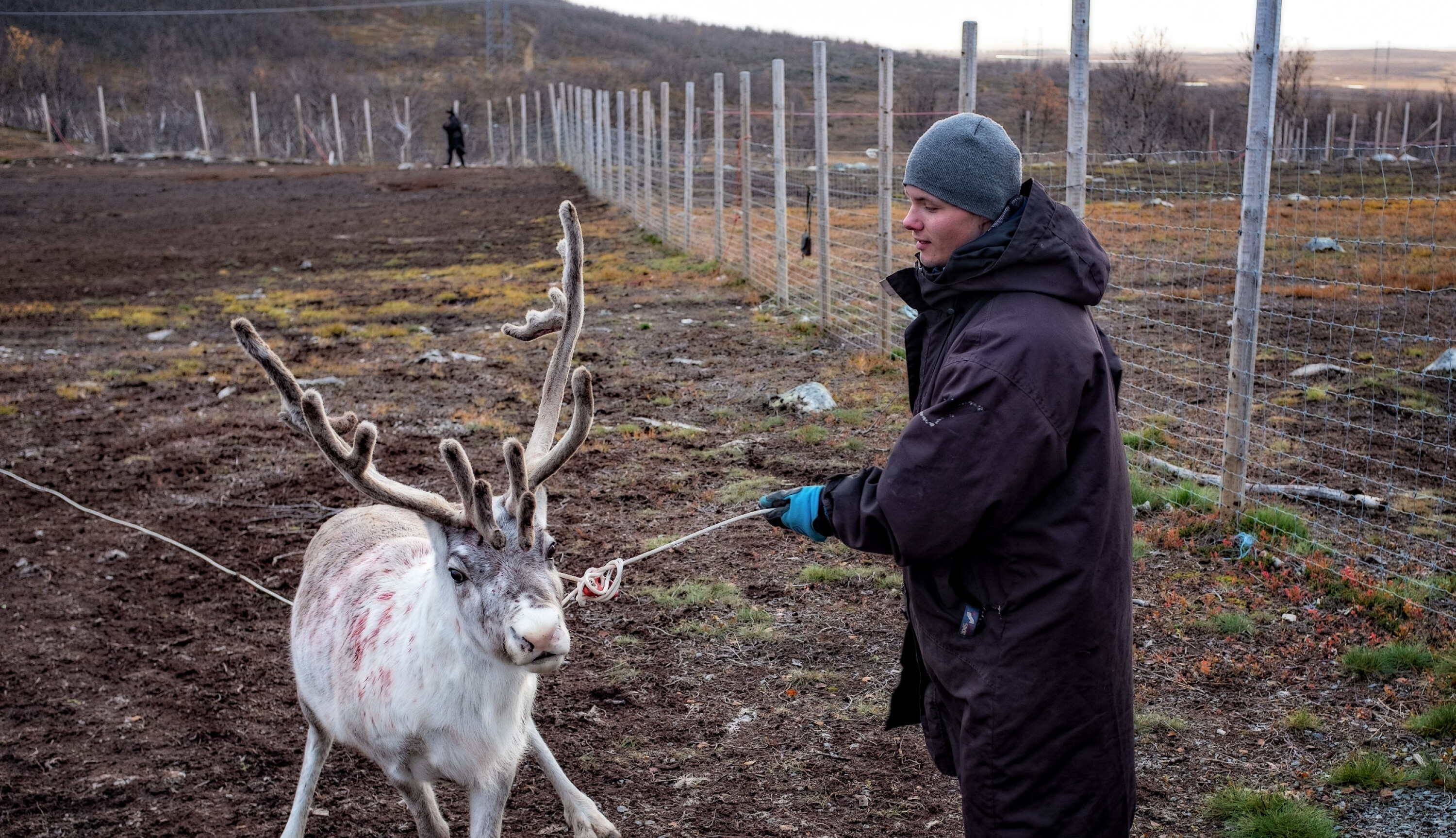– Jeg trives med å lære fra meg, og det er viktig at den tradisjonelle kunnskapen går videre, sier Johnny Henrik Skum, som viser barna reindrift. – Jeg trives med å lære fra meg, og det er viktig at den tradisjonelle kunnskapen går videre, sier Johnny Henrik Skum, som viser barna reindrift.