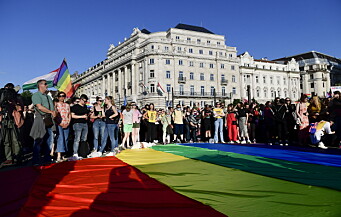Ungarn forbyr «promotering av homofili» i skolemateriell