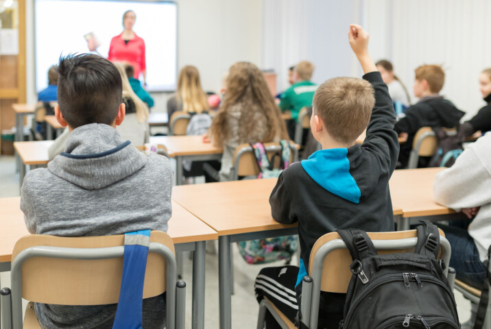 Skoleledere oppgir at koronapandemien har forsinket arbeidet med nye læreplaner.