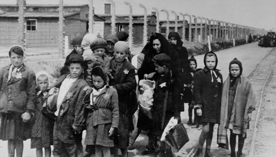 Mange lærere mangler kunnskapen som kreves for å undervise korrekt om Holocaust, viser forskning. Bildet viser jøder på vei til gasskamrene i Auschwitz-Birkenau mai 1944.