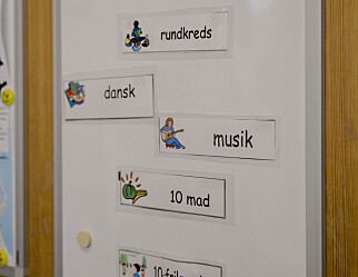 Framleis fireårig grunnskole-lærarutdanning i Danmark