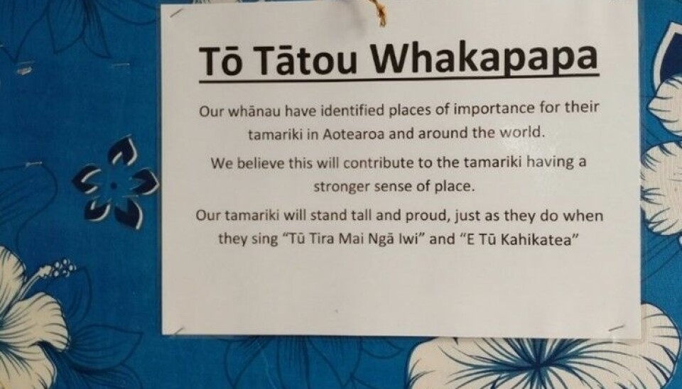 I alle barnehagene var te reo, maorienes språk, brukt både alene og i kombinasjon med engelsk.