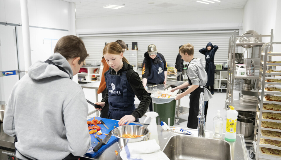 Ved Vardheia ungdomsskole i Stavanger får elevene både drille, snekre og kokkelere. Denne skolen er bygget som en yrkesfaglig skole og legger opp til praktisk undervisning.