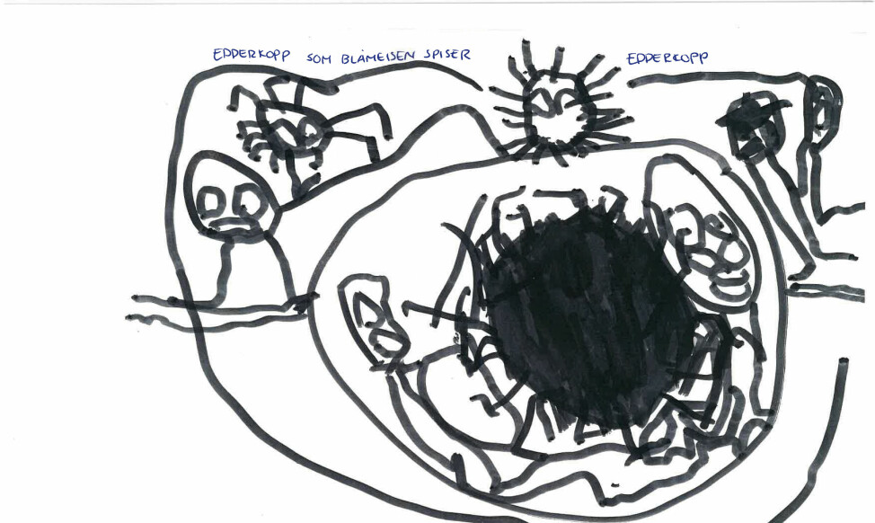 Figur 3: Barna fikk selv velge tema i avisprosjektet og en av gruppene snakket, tegnet og skrev om blåmeisen.