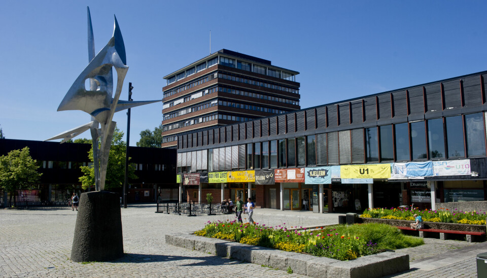 Et regjeringsoppnevnt utvalg mener det er flere uheldige måter ved dagens system for å finansiere høyskoler og universiteter. Her et bilde av Blindern campus ved Universitetet i Oslo (UiO).