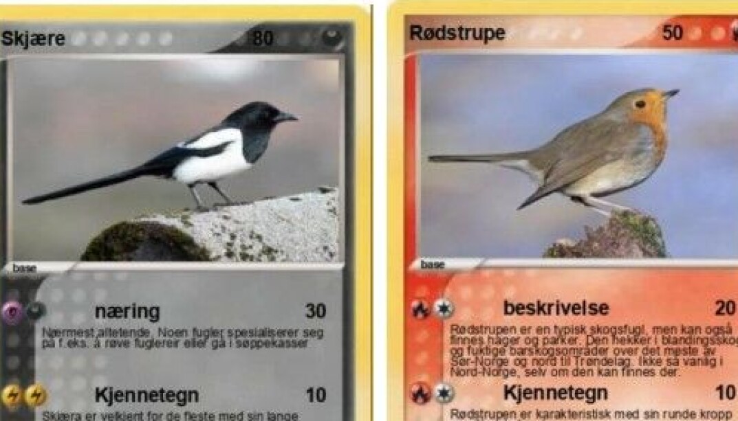 Eksempler av kortene Erik Askeland har laget for bruk i barnehagen. Eksempler av kortene Erik Askeland har laget for bruk i barnehagen.