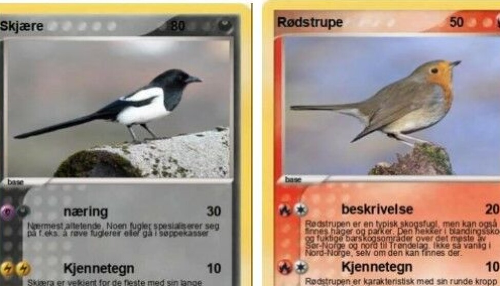 Eksempler av kortene Erik Askeland har laget for bruk i barnehagen. Eksempler av kortene Erik Askeland har laget for bruk i barnehagen.